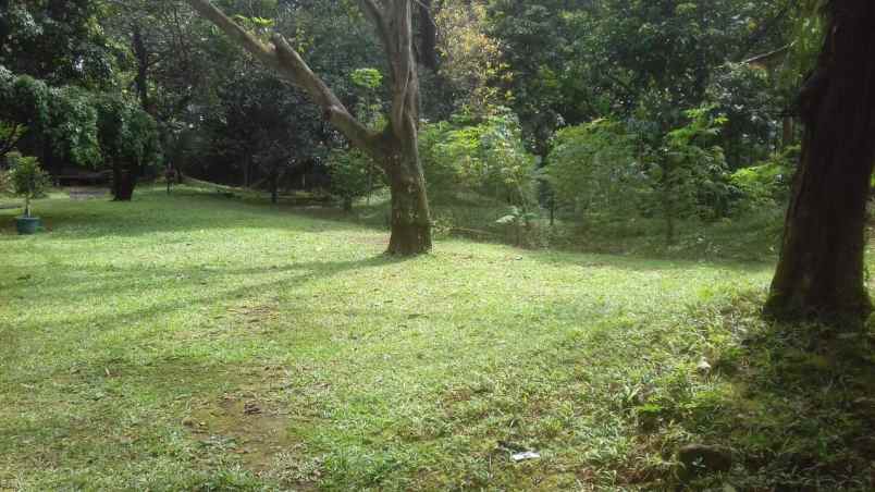 tanah jl warung silah no 17