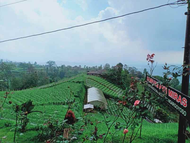 tanah kemuning ngargoyoso
