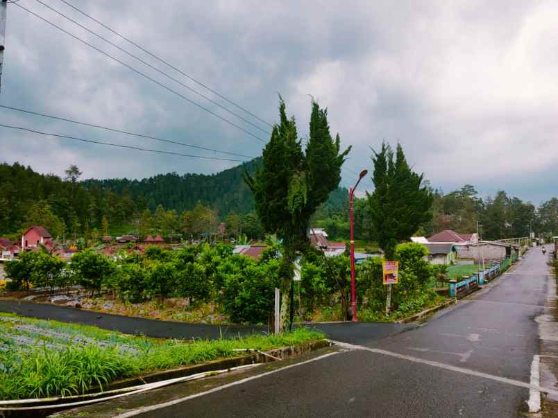 tanah kemuning ngargoyoso