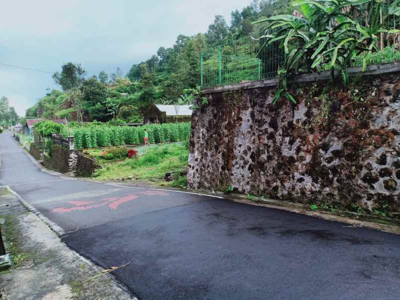 tanah kemuning ngargoyoso