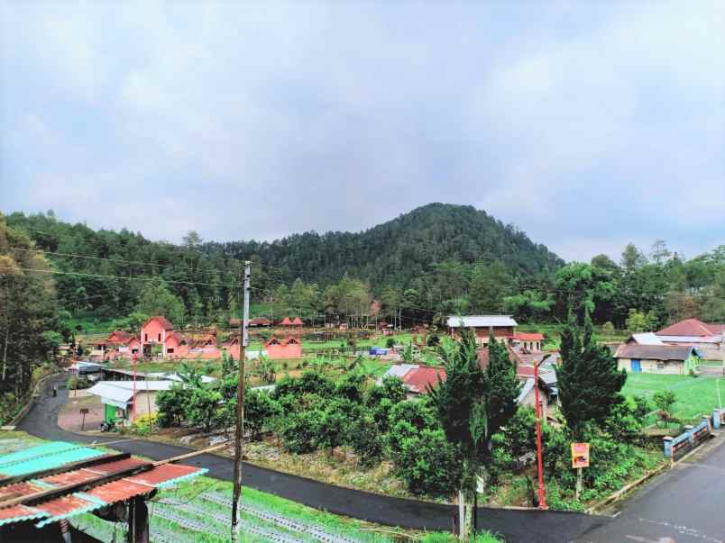 tanah kemuning ngargoyoso