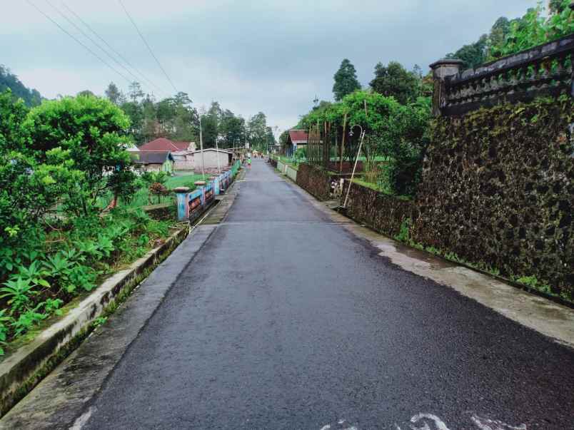 tanah kemuning ngargoyoso