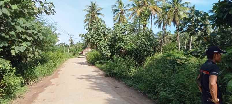 tanah kp malang sari des cikiruh