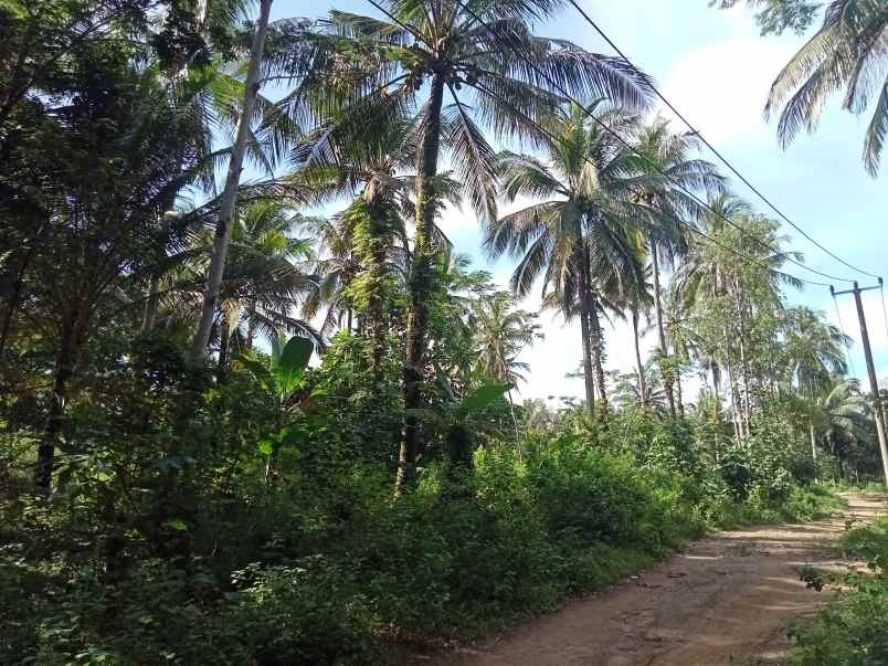 tanah kp malang sari des cikiruh