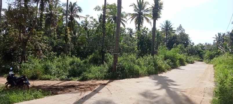 tanah kp malang sari des cikiruh