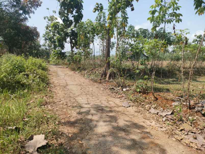 tanah murah 1198m hanya 100 juta karanganyar