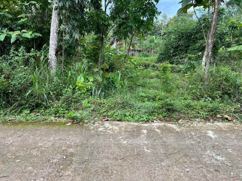 tanah siap bangun 1986m kerjo karanganyar