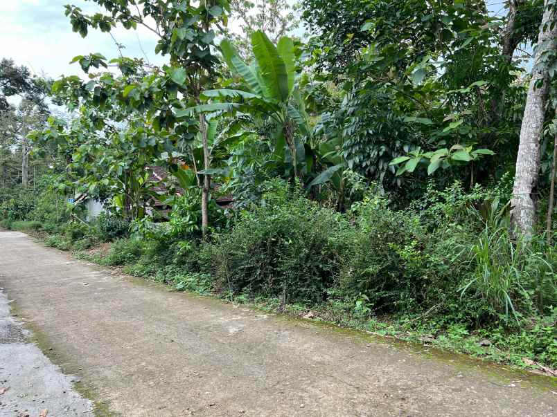 tanah siap bangun 1986m kerjo karanganyar