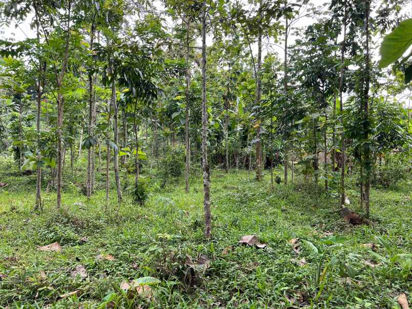 tanah siap bangun 1986m kerjo karanganyar