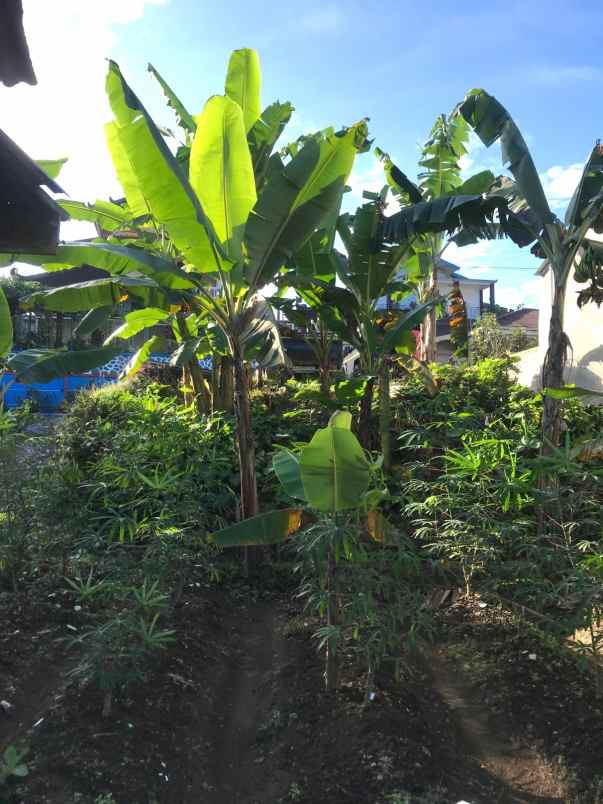 tanah strategis 152m view gunung lawu tawangmangu