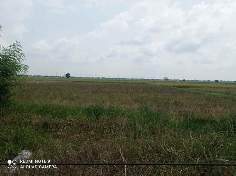 tanah untuk perumahan jalajan raya desa sukatenang