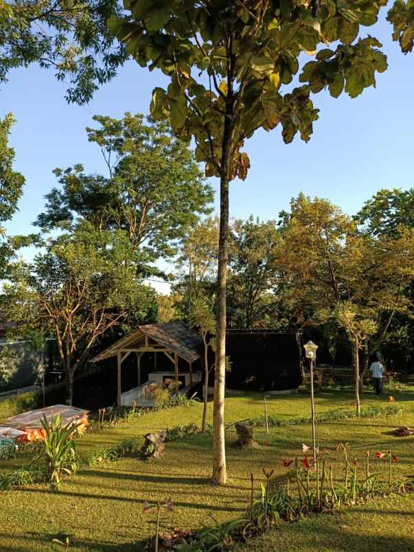 villa trawas di taman ganjaran