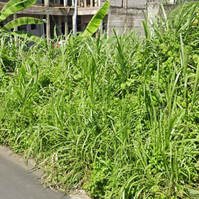 dijual 2 45 are jl drupadi sumerta klod renon denpasar