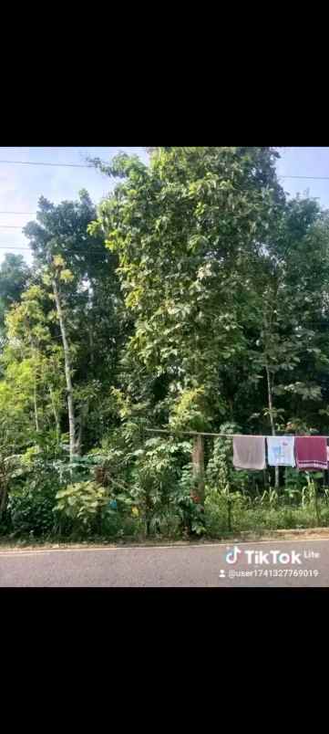 dijual cepat murah tanpa perantara