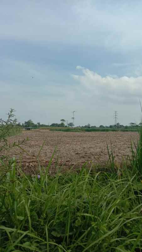dijual cepat tanah kosong