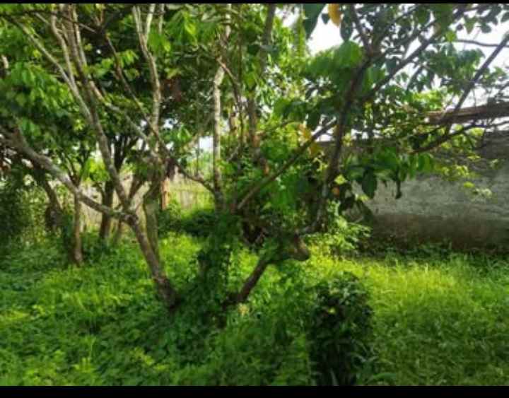 dijual lahan ex villa sukabumi kota sejuk