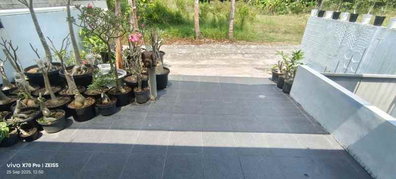 dijual rumah di bangunjiwo kasihan bantul