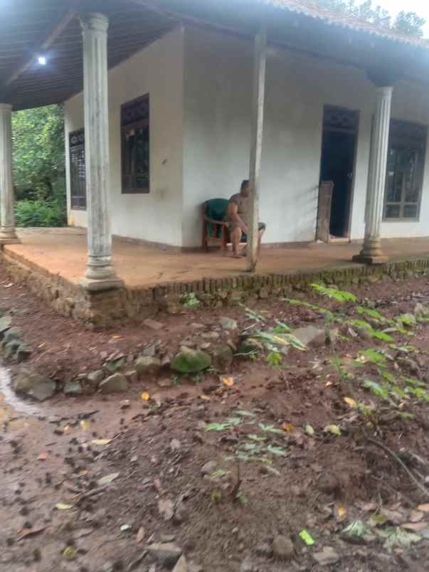 dijual rumah dijual rumah di gembong