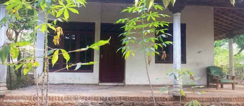 dijual rumah dijual rumah di gembong