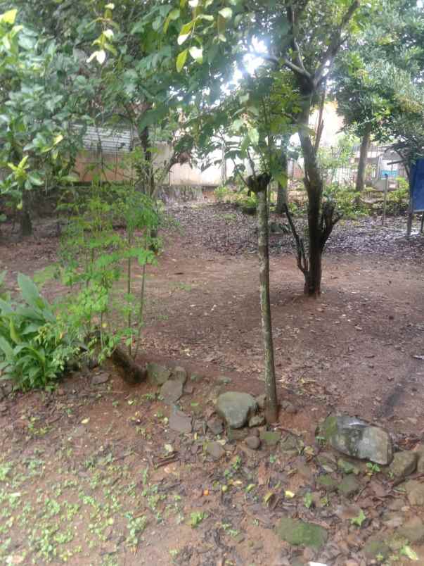 dijual rumah dijual rumah di gembong