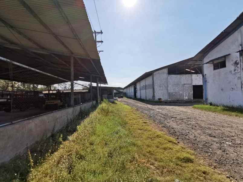 dijual rumah jalan bintoro