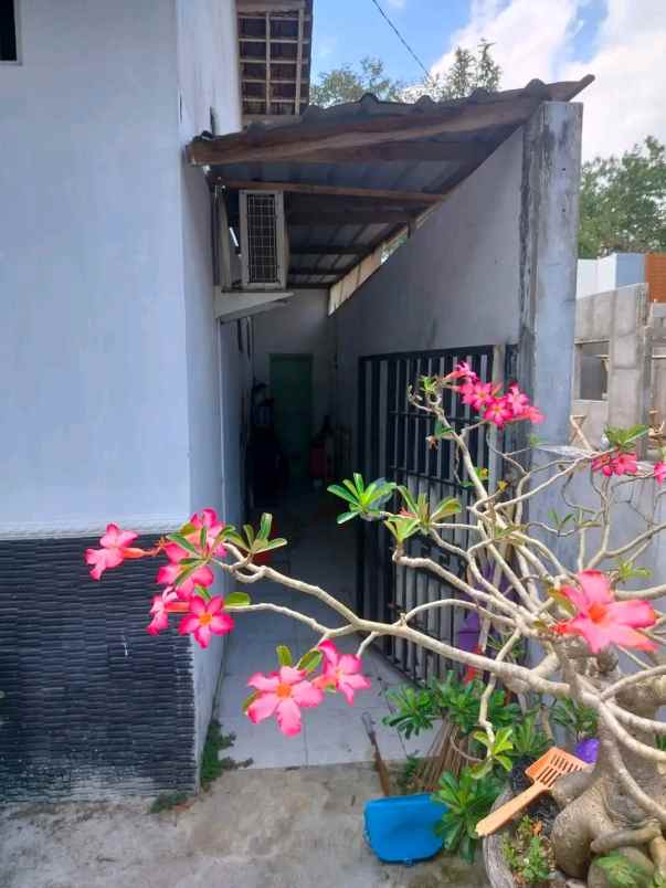 dijual rumah kalasan