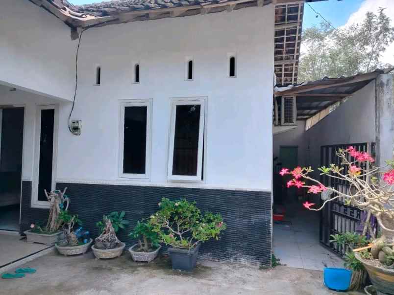 dijual rumah kalasan