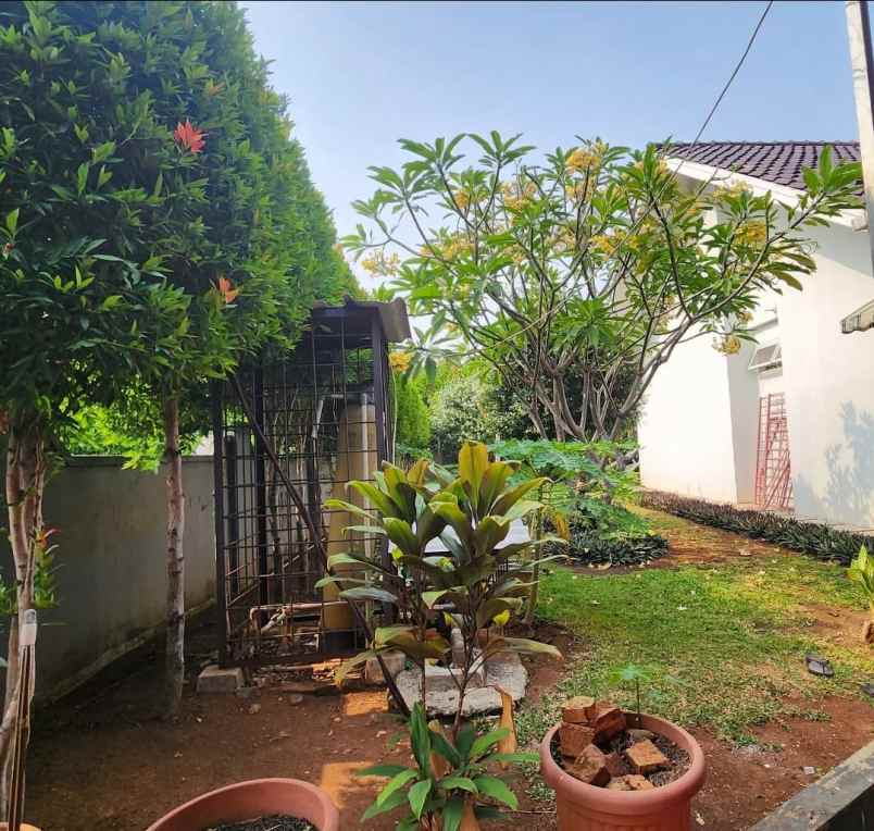 dijual rumah kayu putih