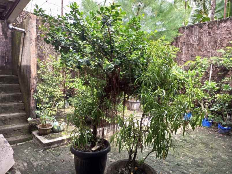 dijual rumah kediri