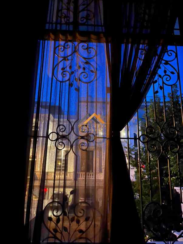 dijual rumah komplek the palace