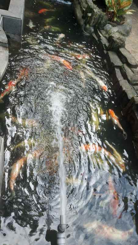 dijual rumah sarikaso