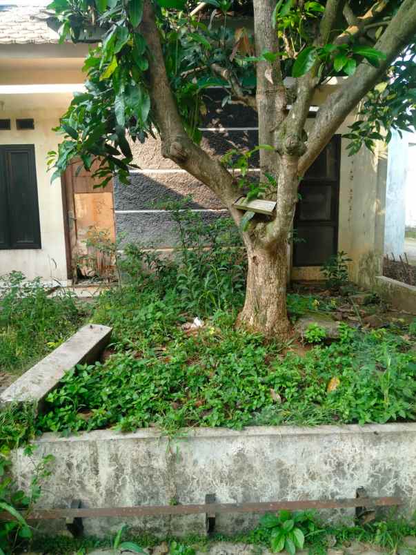 dijual rumah tajurhalang bogor
