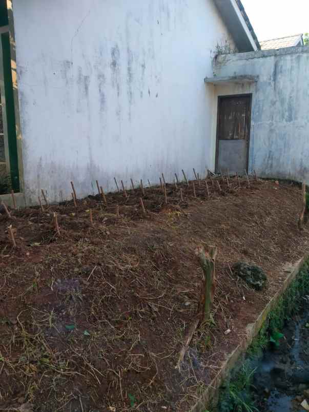 dijual rumah tajurhalang bogor