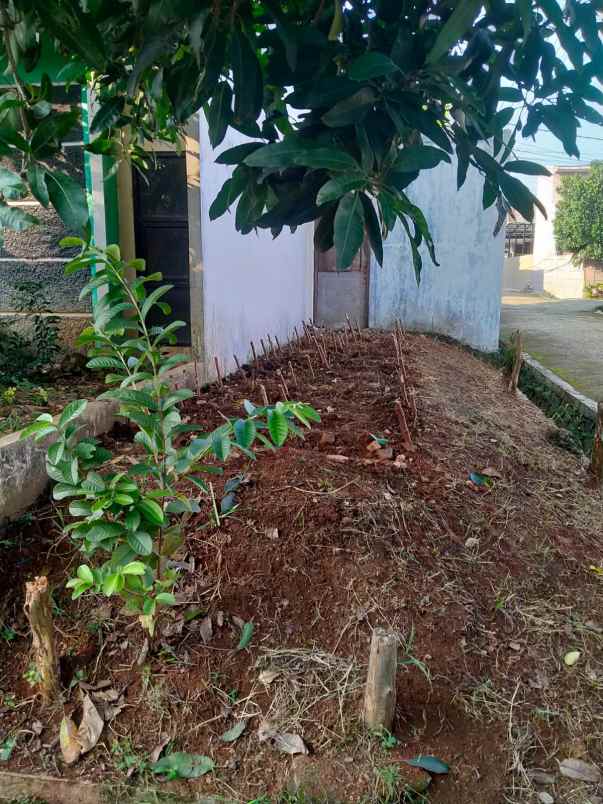 dijual rumah tajurhalang bogor