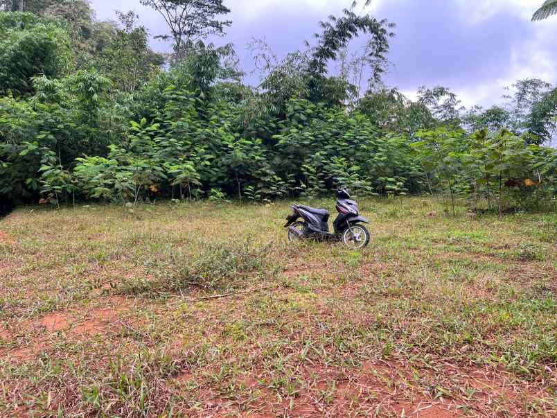 dijual tanah 2000m karangpandan karanganyar