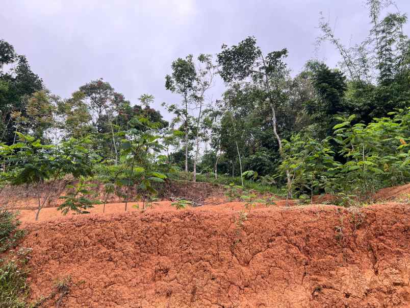 dijual tanah 2000m karangpandan karanganyar