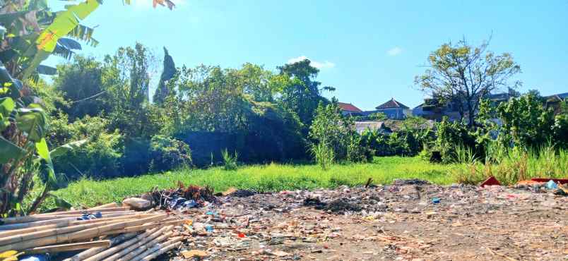 dijual tanah 2920 m2 jl mahendradatta denpasar bali