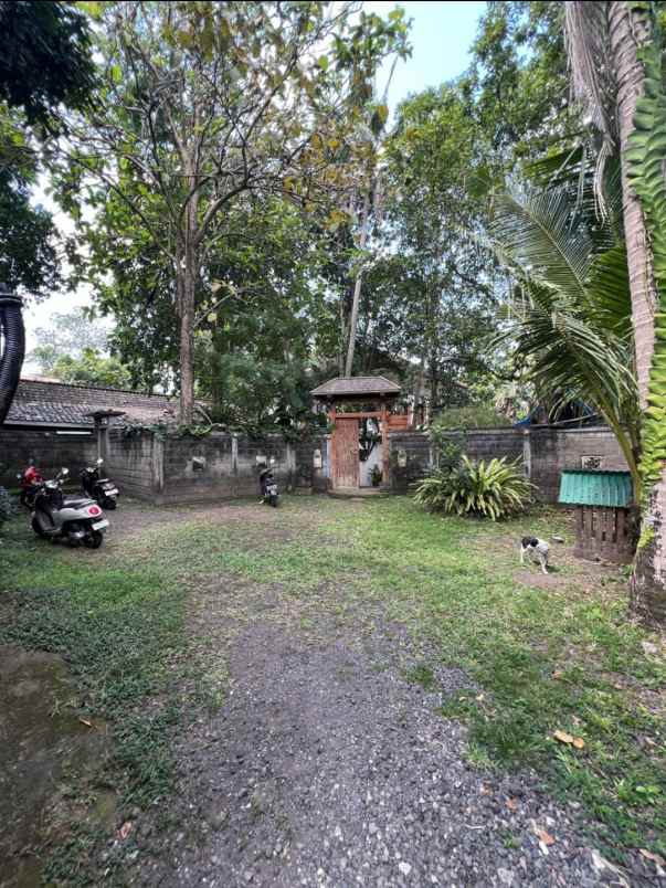 dijual tanah belakang terminal ubung