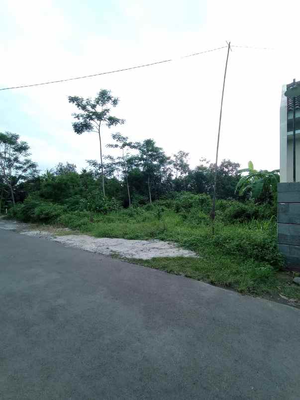 dijual tanah blotan