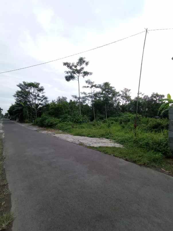 dijual tanah blotan