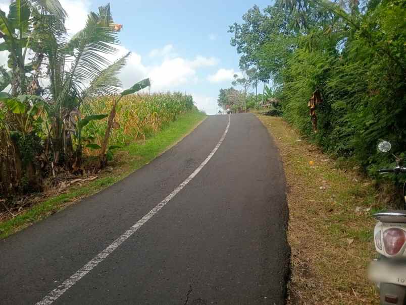 dijual tanah cantik 18 are di tepi sungai alami
