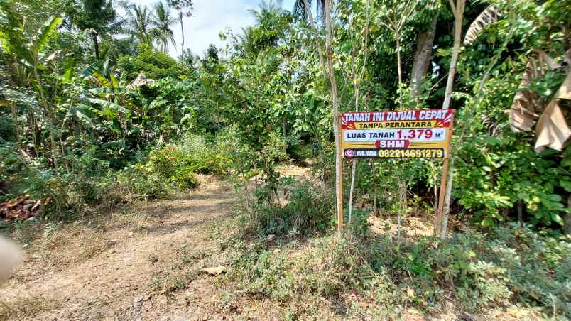 dijual tanah cepat tanpa perantara
