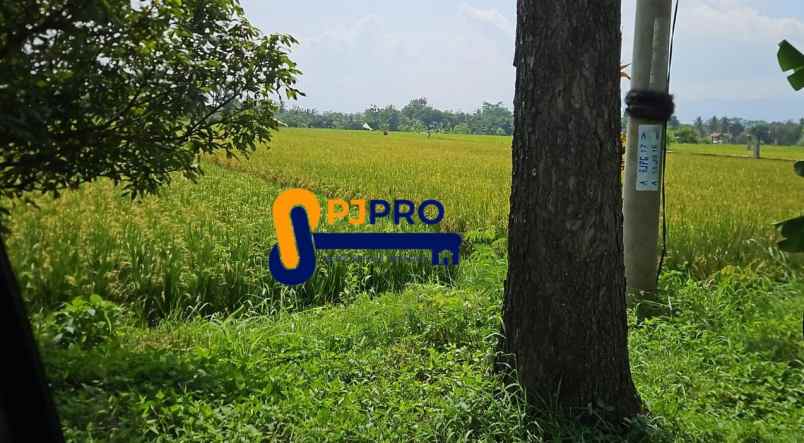 dijual tanah cianjur