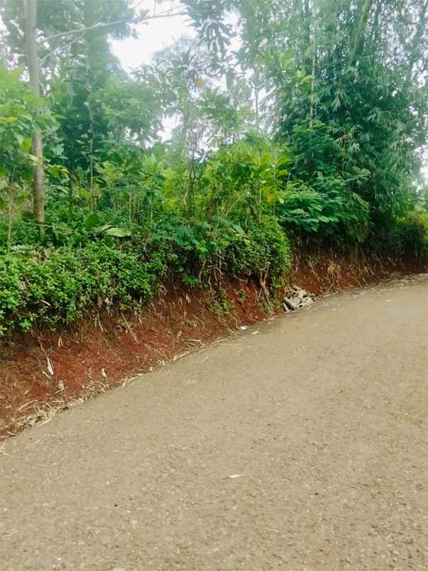 dijual tanah ciwaru