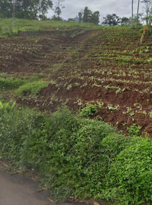 dijual tanah ciwaru