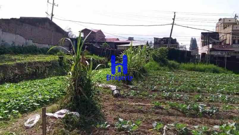 dijual tanah daerah berastagi jalan
