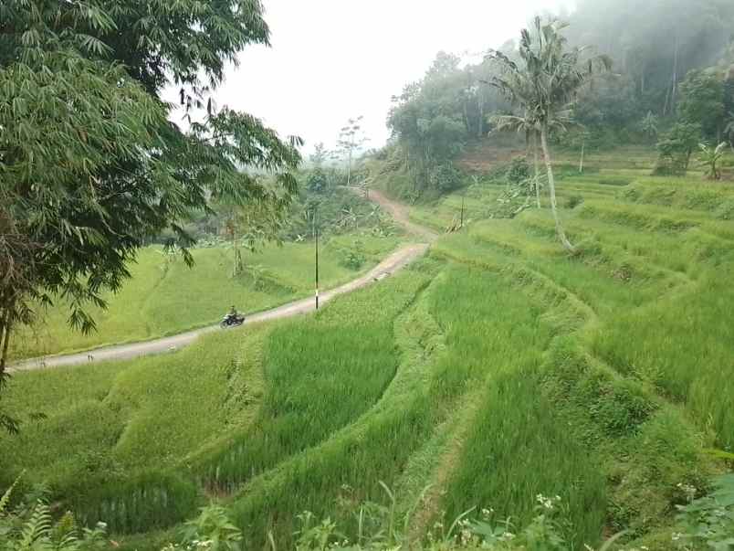 dijual tanah dan sawah produktif pinggir jalan
