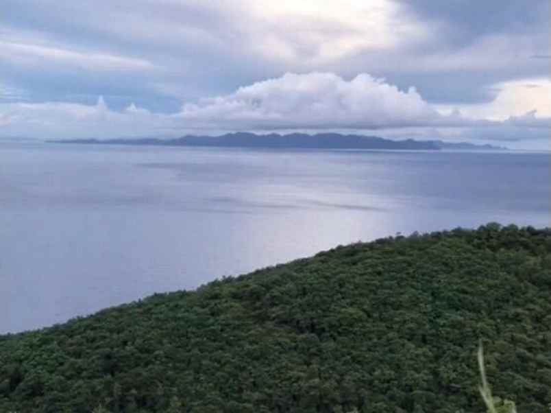 dijual tanah dekat pejukutan kec nusa