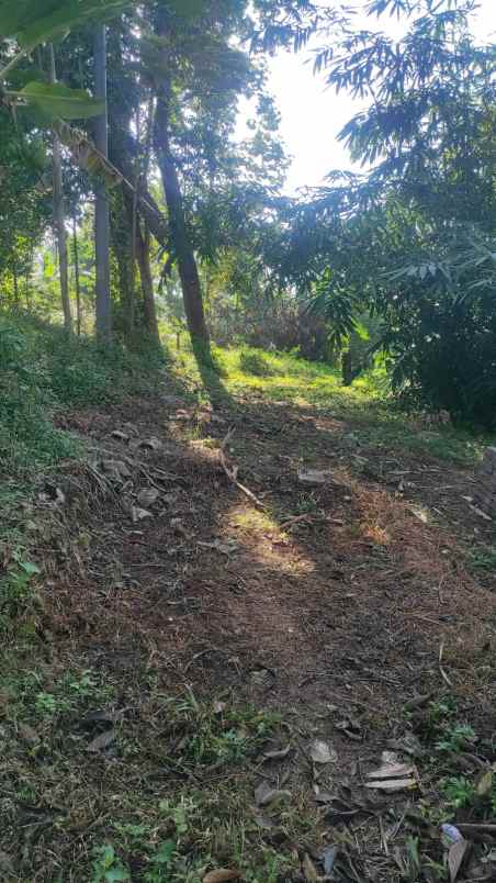 dijual tanah di banyumanik semarang