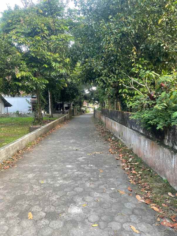 dijual tanah di kemloko margorejo tempel sleman